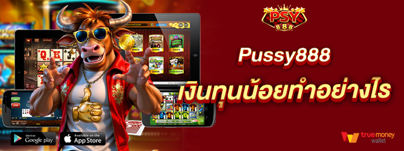 Pussy888 เงินทุนน้อยทำอย่างไร